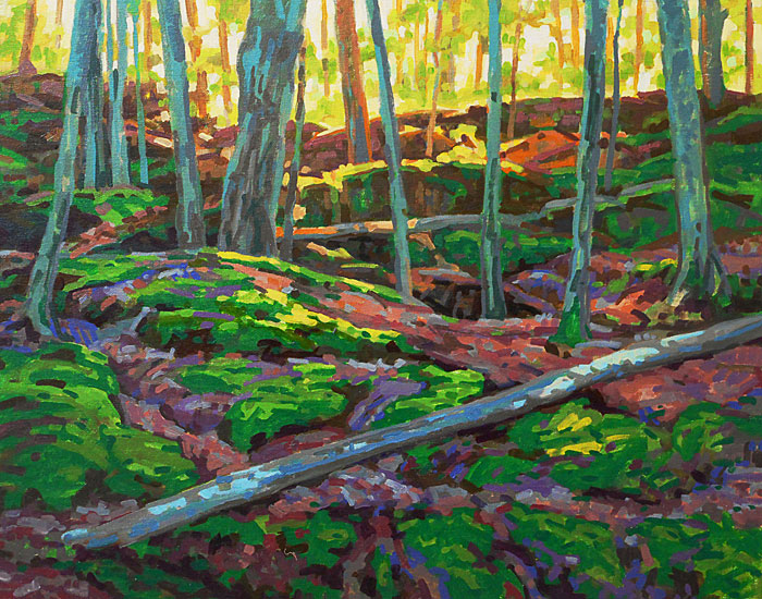 Forest interior at Eagle Mountain