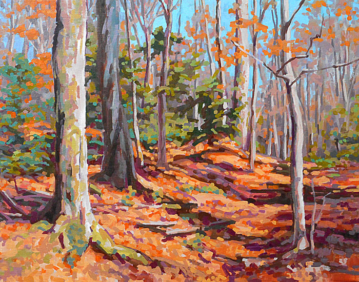 Forest City Trail on Camels Hump