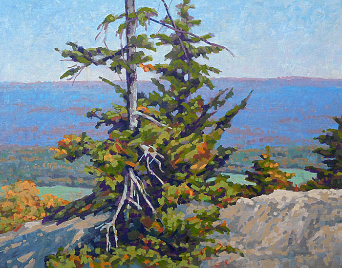 Mountain Elmore